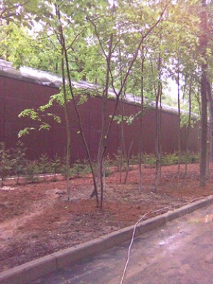 ������ ������������� ������